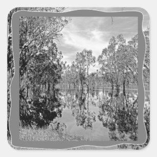 River Murray Black White Photo Gum Tree Reflection Square Sticker