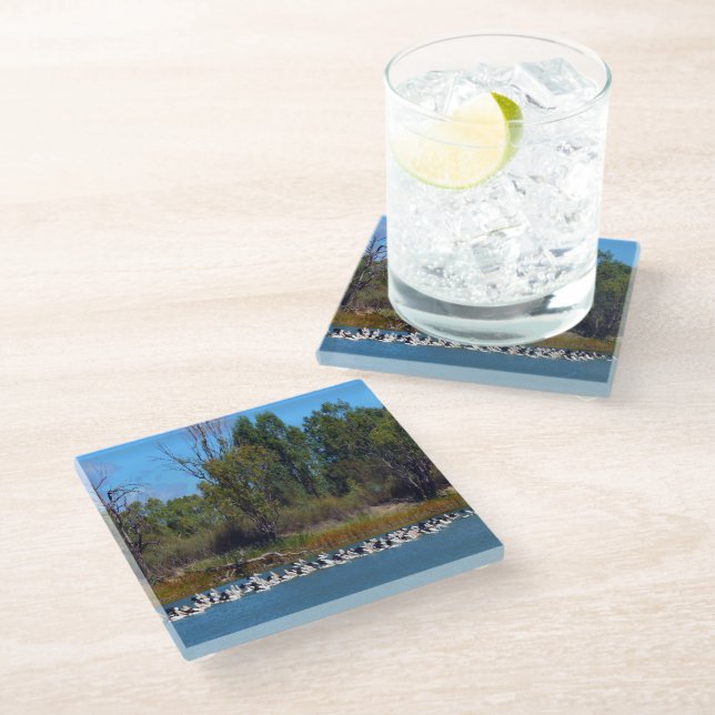 "River Murray's Fishermen: A Pelican Gathering" Glass Coaster (Angled)