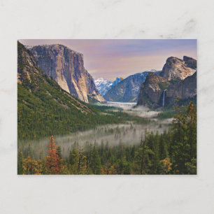 River of Mist Postcard