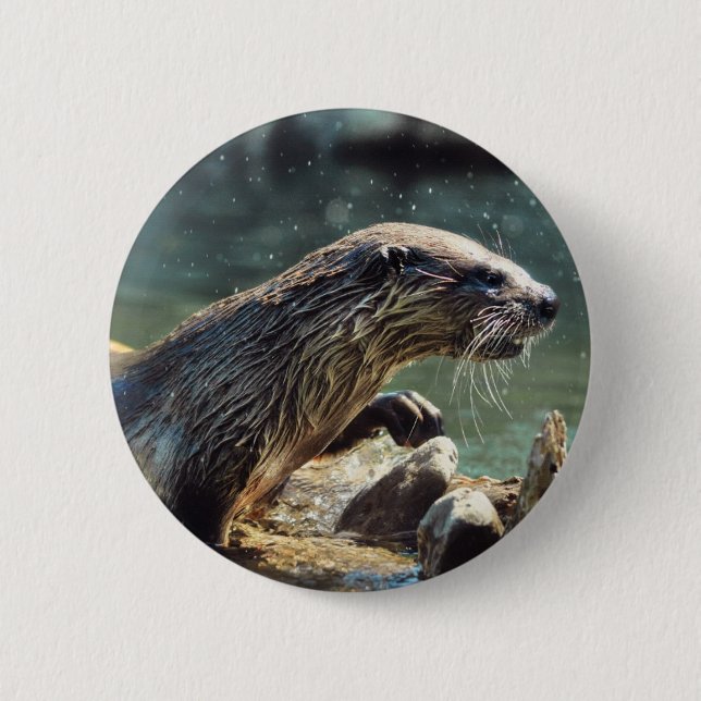 River Otter Animal-lover's Wildlife Photo 2 Inch Round Button (Front)