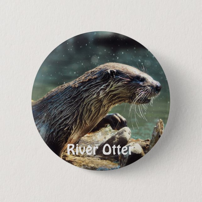 River Otter Animal-lover's Wildlife Photo 2 Inch Round Button (Front)