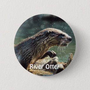 River Otter Animal-lover's Wildlife Photo 2 Inch Round Button