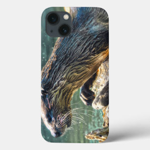 River Otter Animal-lover's Wildlife Photo iPhone 13 Case