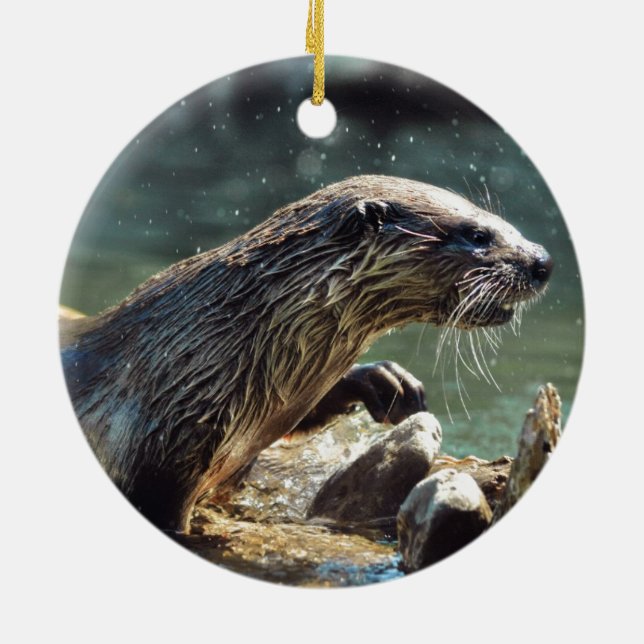 River Otter Animal-lover's Wildlife Photo Ceramic Ornament (Back)