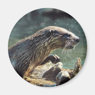 River Otter Animal-lover's Wildlife Photo Magnet
