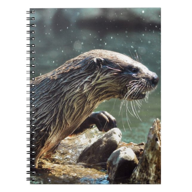 River Otter Animal-lover's Wildlife Photo Notebook (Front)