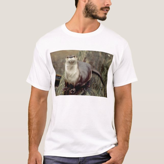 River Otter Posing T-Shirt (Front)