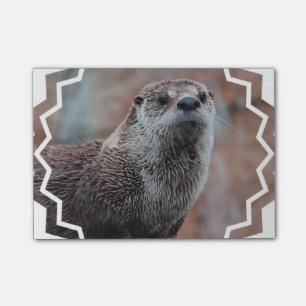 River Otter Post-it Notes