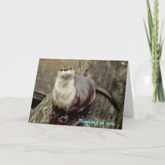 River Otter, Thinking of you... Card