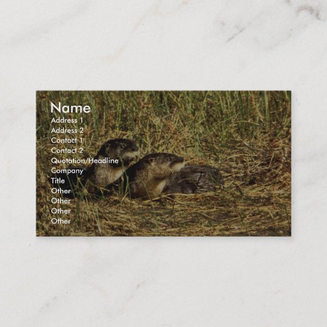 River Otters Business Card (Front)