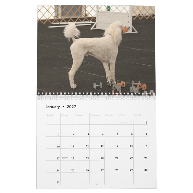 River Poodles 2013 Calendar (Jan 2027)