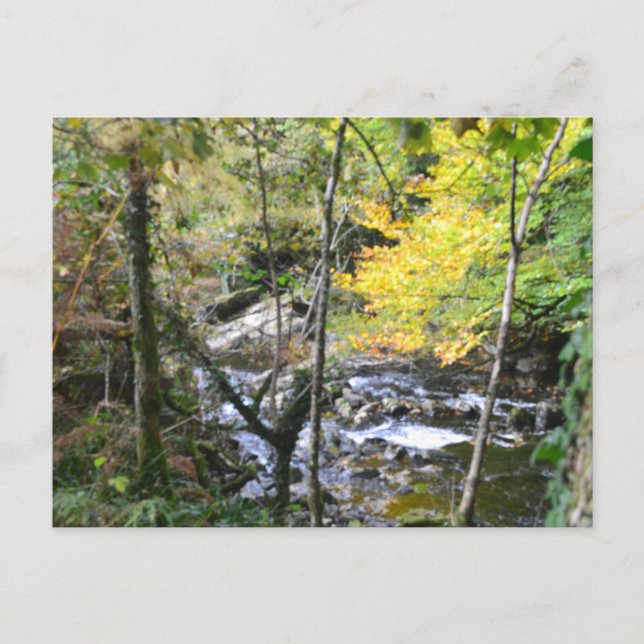 river postcard (Front)