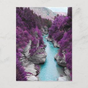 River, purple flowers and rocks postcard