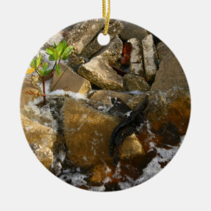 River Rocks Cement Blocks and Mangrove Seedling Ceramic Ornament