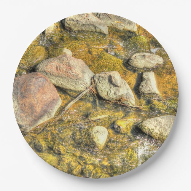River Rocks Paper Plate (Front)