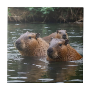 "River Serenity: Capybaras Swimming in the Flow" Tile