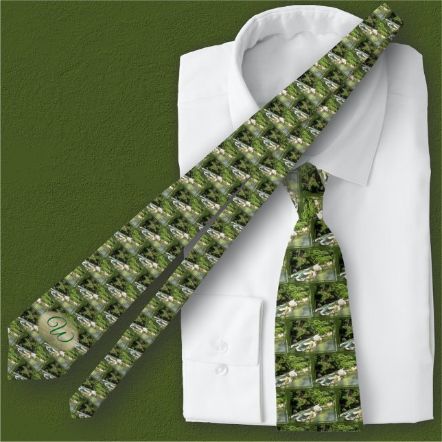 River South 0365 Tie (Creator Uploaded)