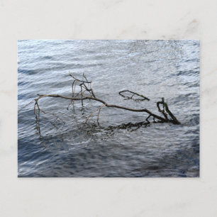 River , Still life Postcard