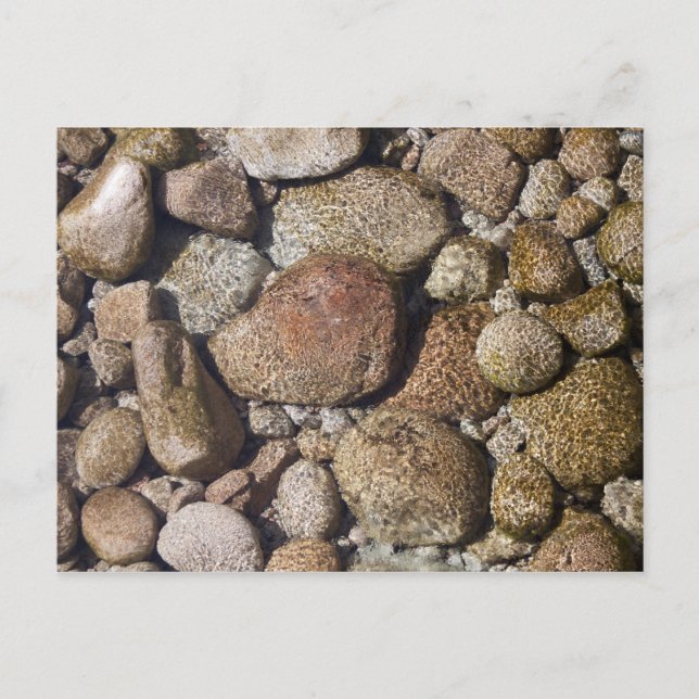 River stones Postcard (Front)