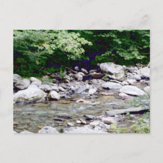 River Stones Postcard