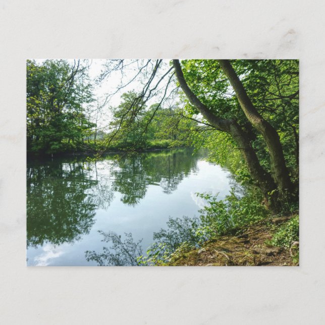 River Taff, Cardiff, Wales. Postcard (Front)