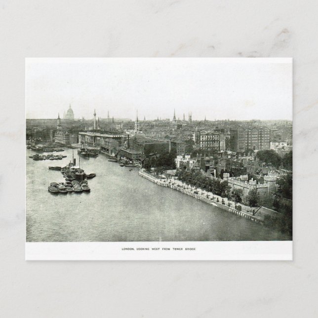 River Thames from Tower Bridge 1900 Postcard (Front)