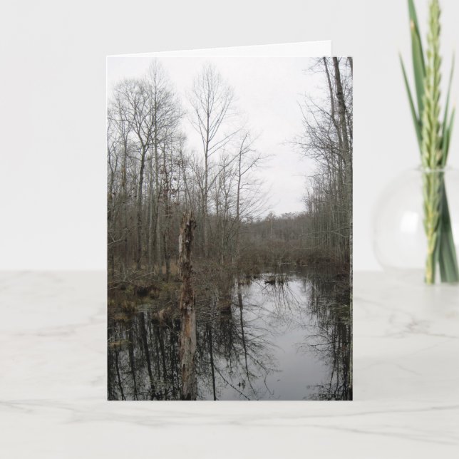 River Through the Wilderness Card (Front)