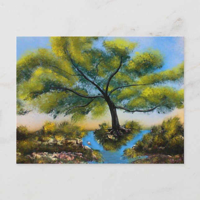 River Tree Postcard (Front)