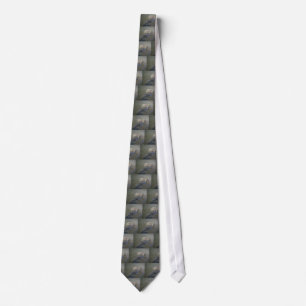 River Turtle and Catfish Tie