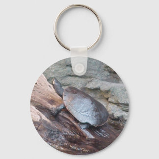 River Turtle Keychain