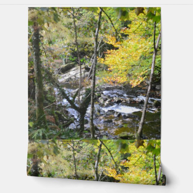 river wallpaper (Unrolling)