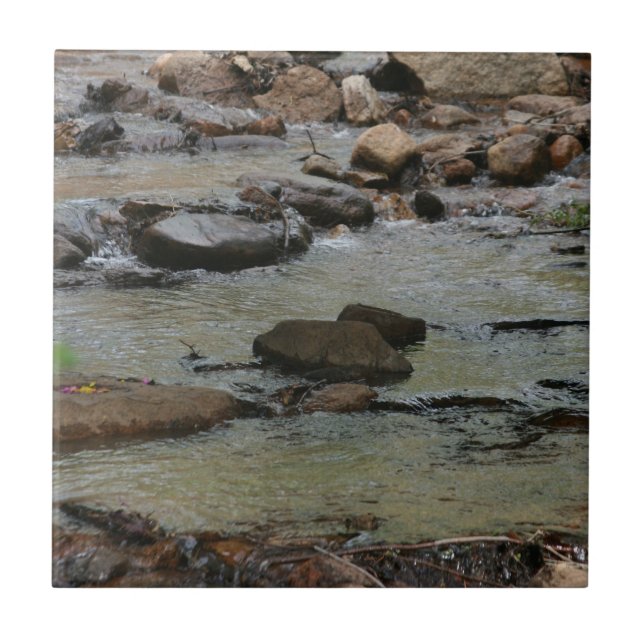 River Water  Tile (Front)