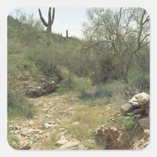 Riverbed Sonoran Desert Custom Sticker Decals (Front)