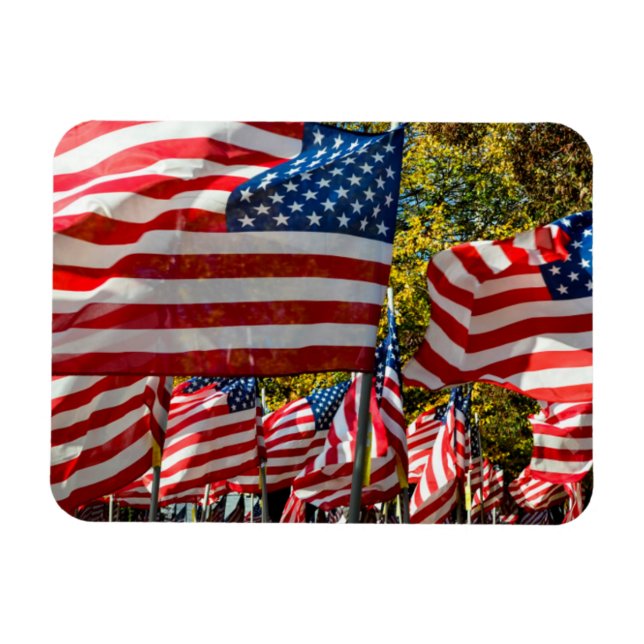 Riverdale, New York, USA. Wine country Magnet (Horizontal)