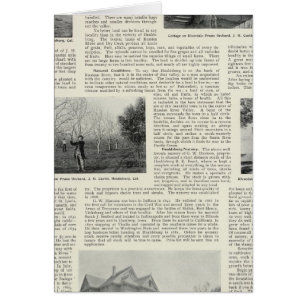 Riverdale Prune Orchard, California