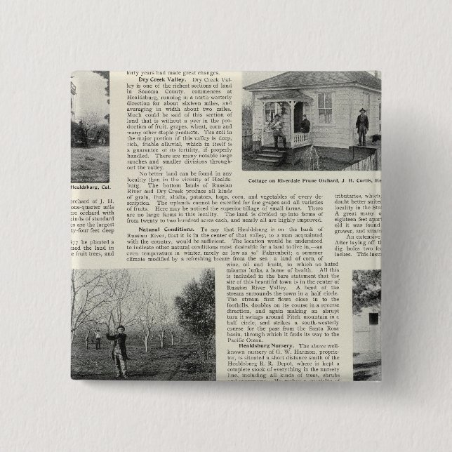 Riverdale Prune Orchard, California 2 Inch Square Button (Front)
