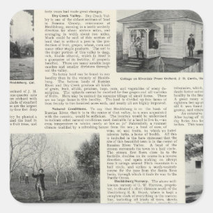 Riverdale Prune Orchard, California Square Sticker