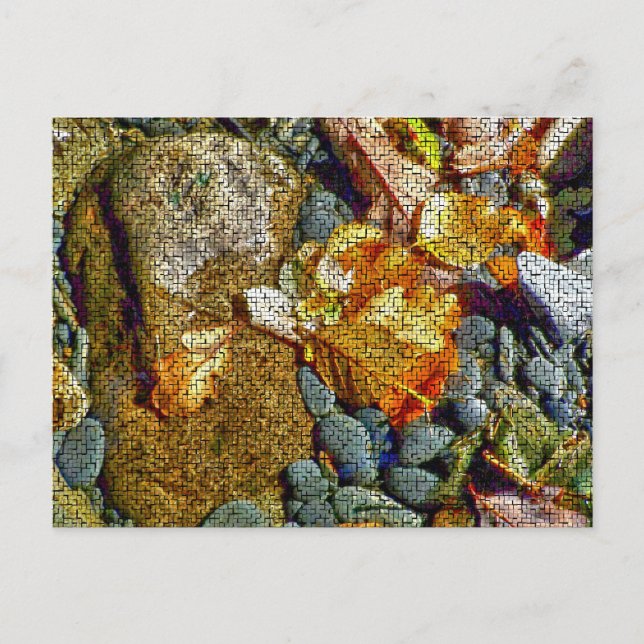 RIVERS POSTCARD (Front)