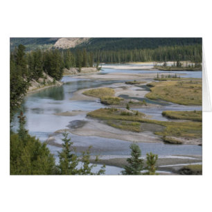 Rivers run through a lowland section of Jasper