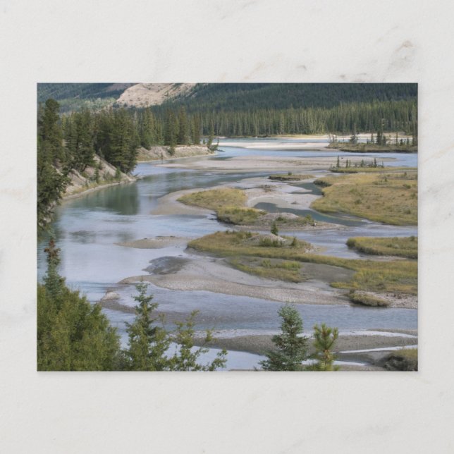 Rivers run through a lowland section of Jasper Postcard (Front)