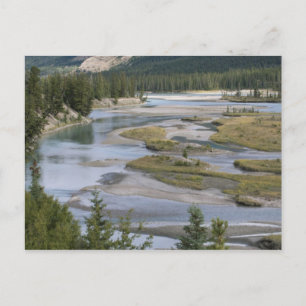 Rivers run through a lowland section of Jasper Postcard