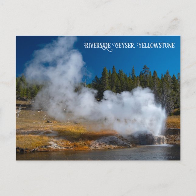 Riverside Geyser Eruption Yellowstone Postcard (Front)