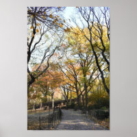 Riverside Park Fall Foliage New York Autumn NYC