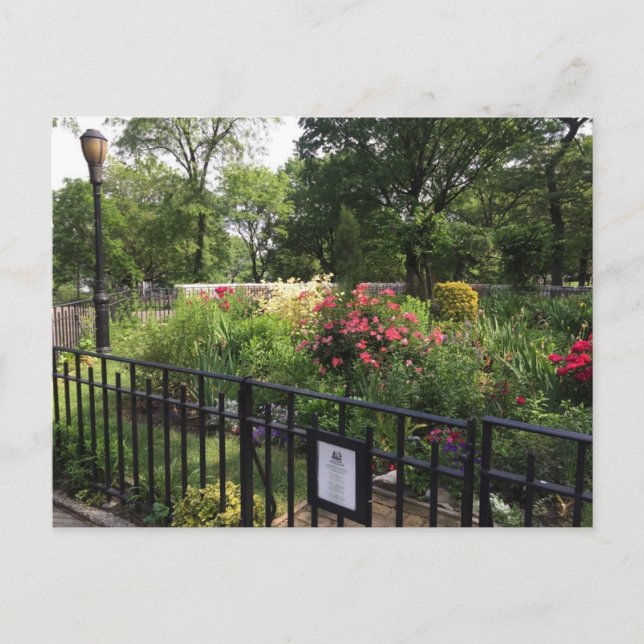 Riverside Park Garden New York City NYC Carte post (Devant)