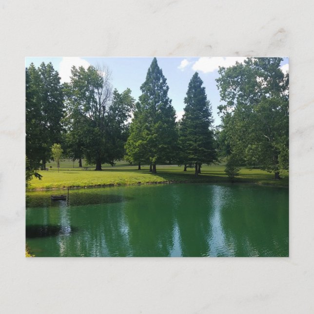 Riverside Park Murphysboro Illinois Scenic Pond Postcard (Front)