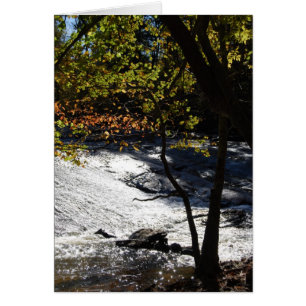 Riverside Sparkles