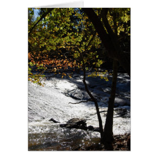Riverside Sparkles