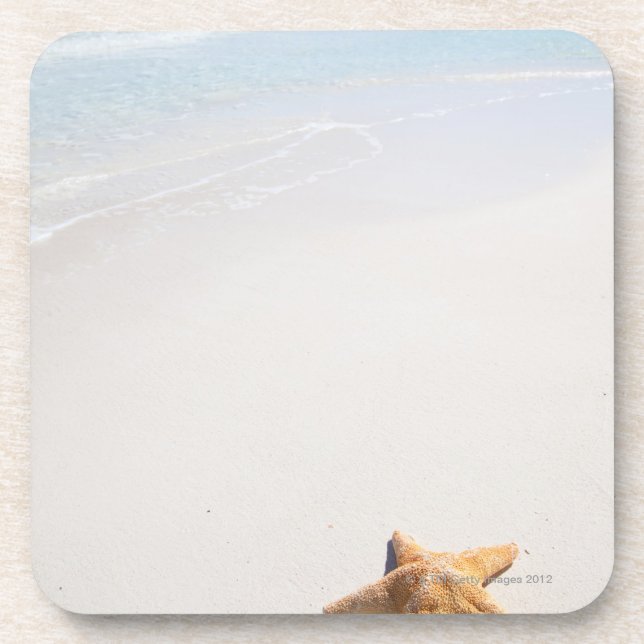 Riviera Maya Coaster (Front)