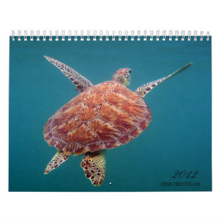 Riviera Maya Mexico Calendar