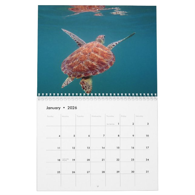 Riviera Maya Mexico Calendar (Jan 2026)